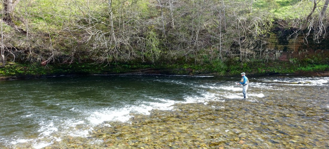 River Eamont - Honeypot Beat