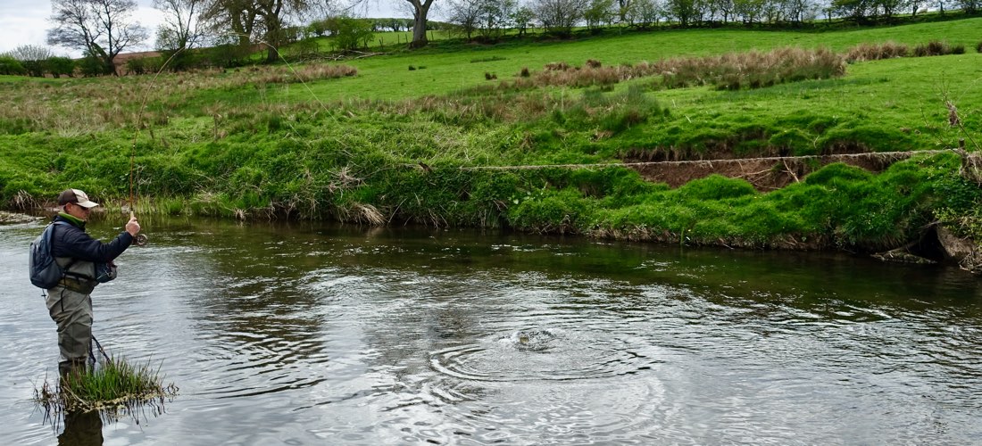 Fishing On The River Lyvennet