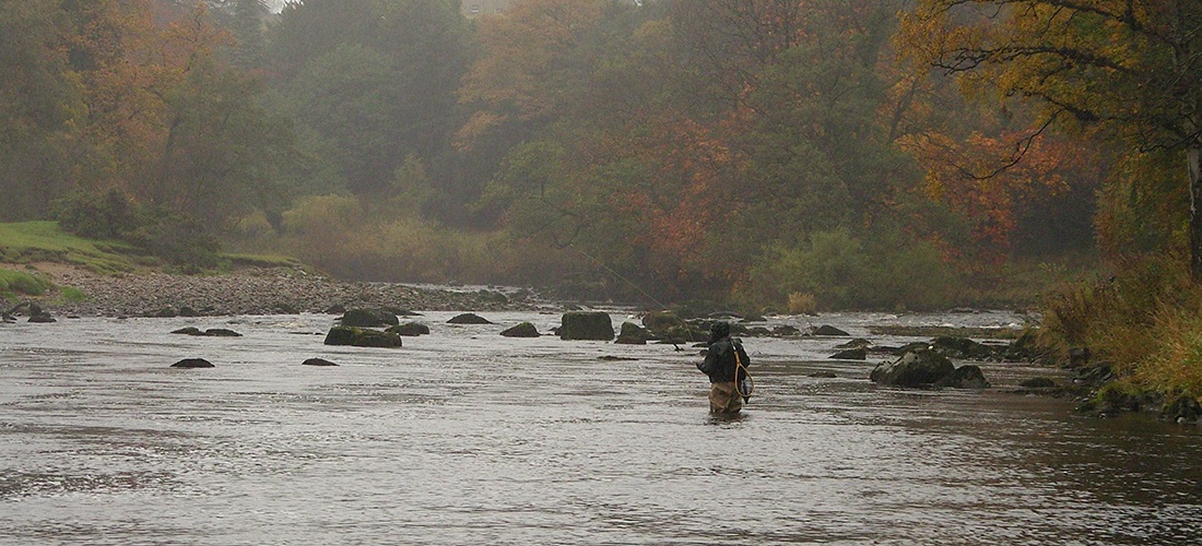Grayling Fishing, River Ure