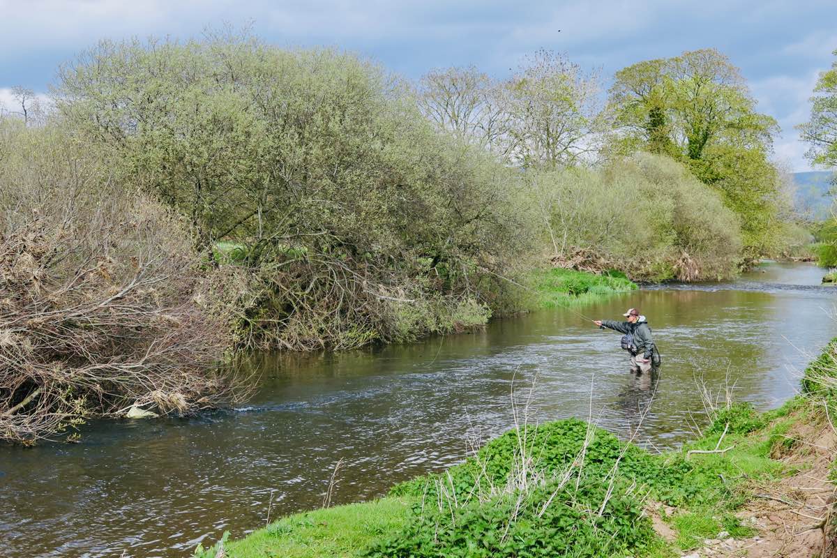 Trout fishing on the River Lyvennet