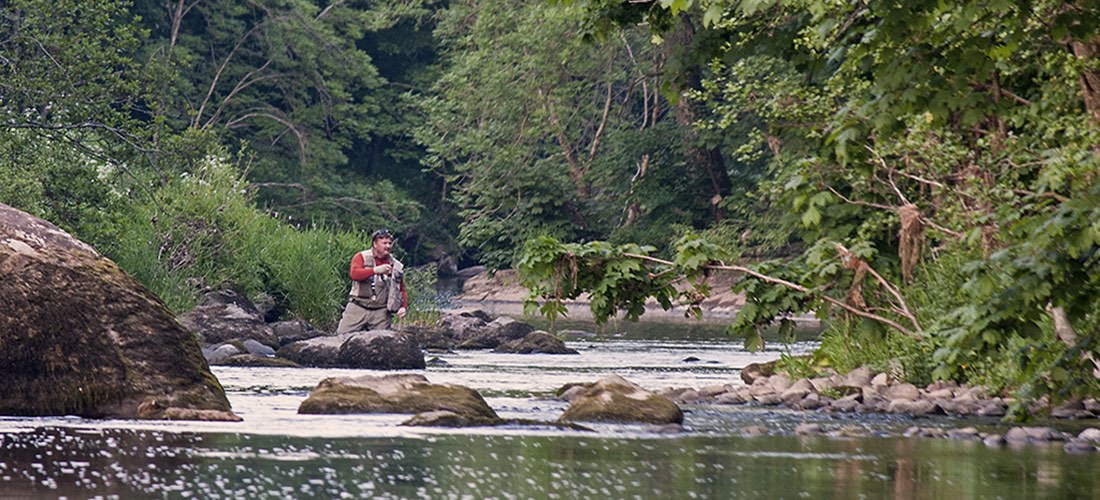 River Eamont Trout Fishing
