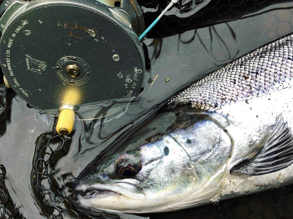 Salmon Fishing