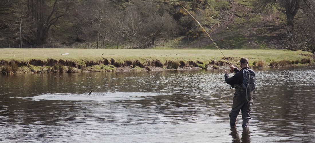 Trout Fishing - River Eamont