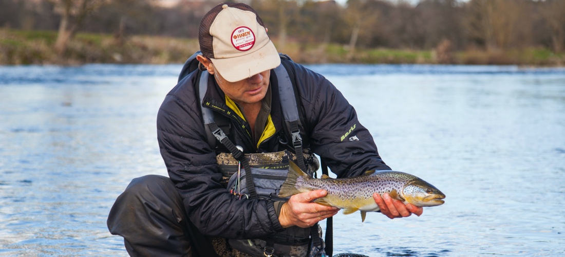 Brown Trout - River Eamont