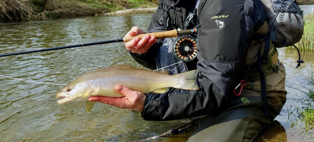 Trout Fishing - YFFC