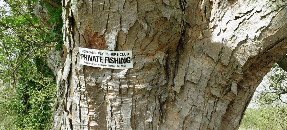 Yorkshire Fly Fishers' Club